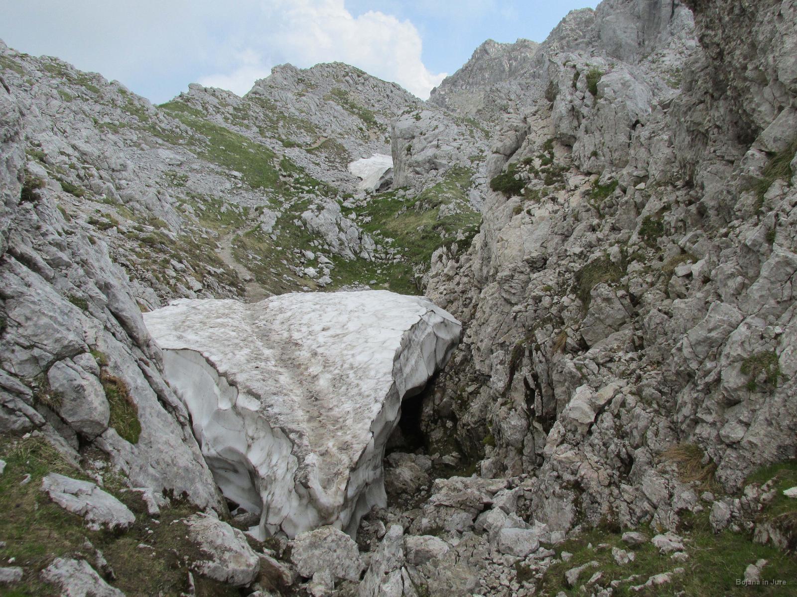 IMG 3564