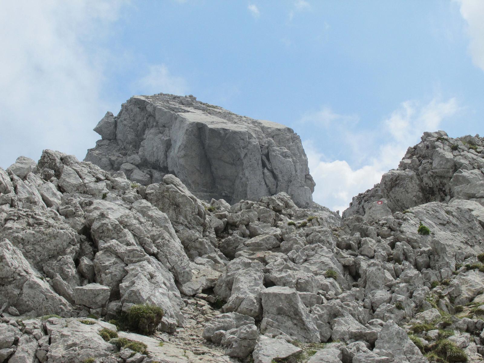 IMG 3565