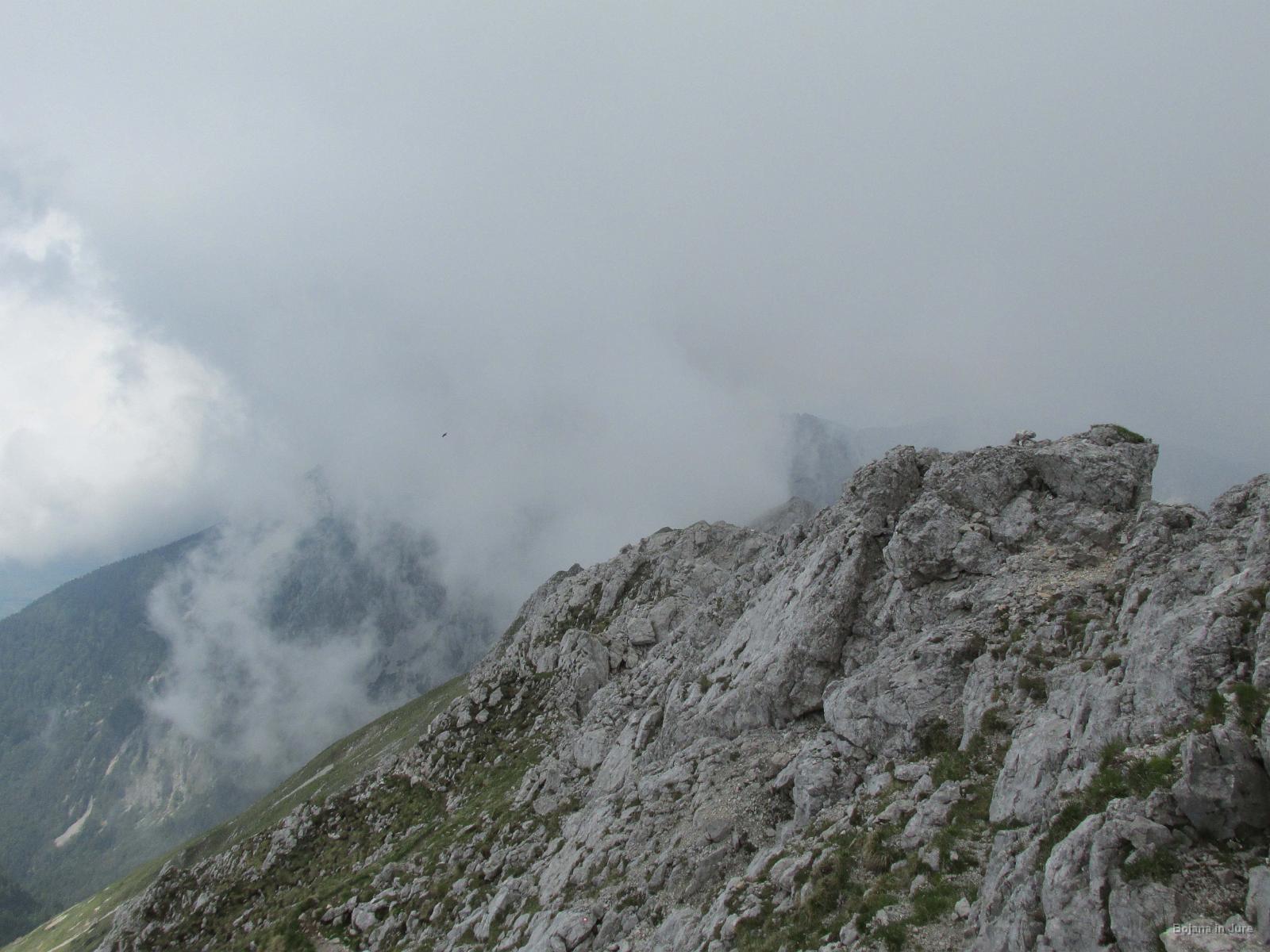 IMG 3567