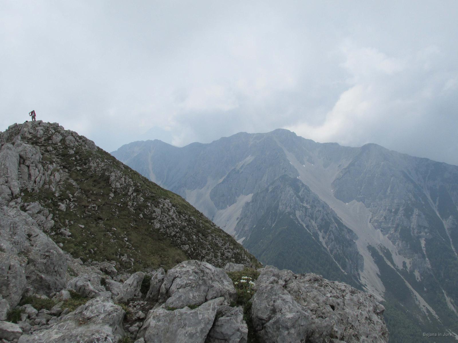 IMG 3568