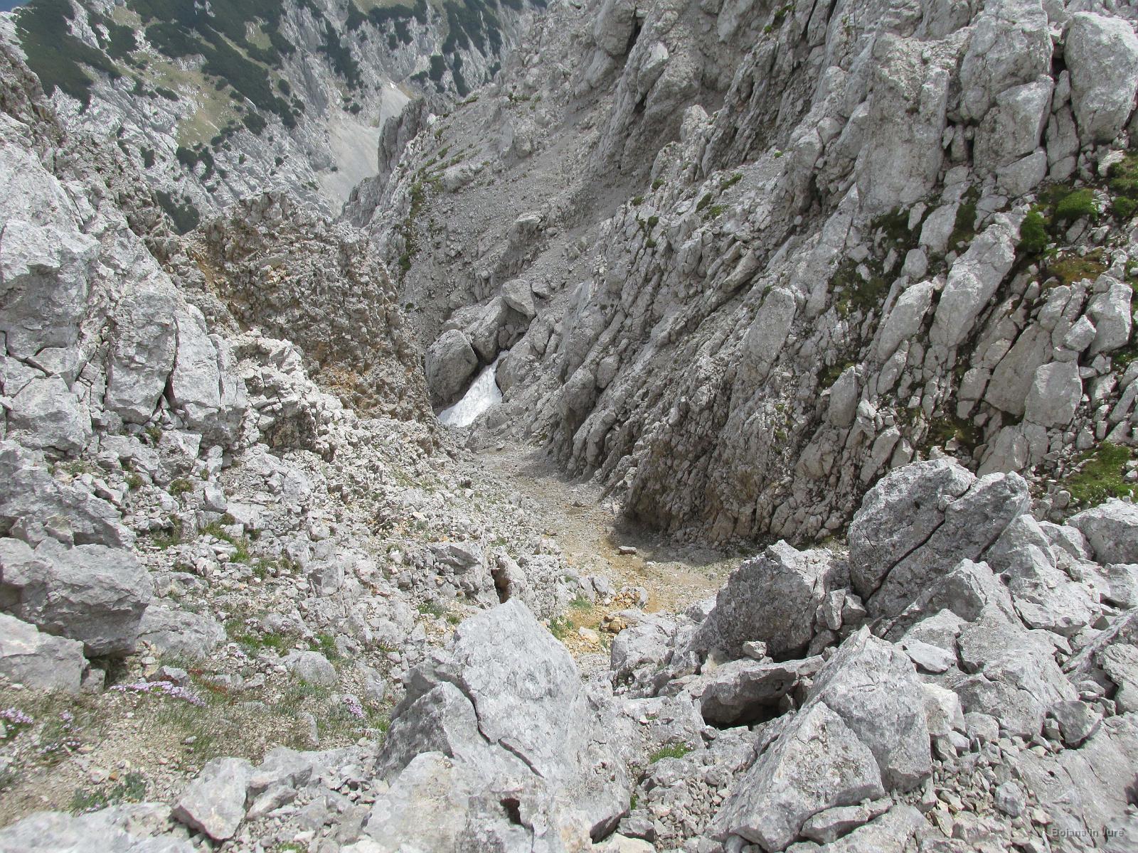 IMG 3572