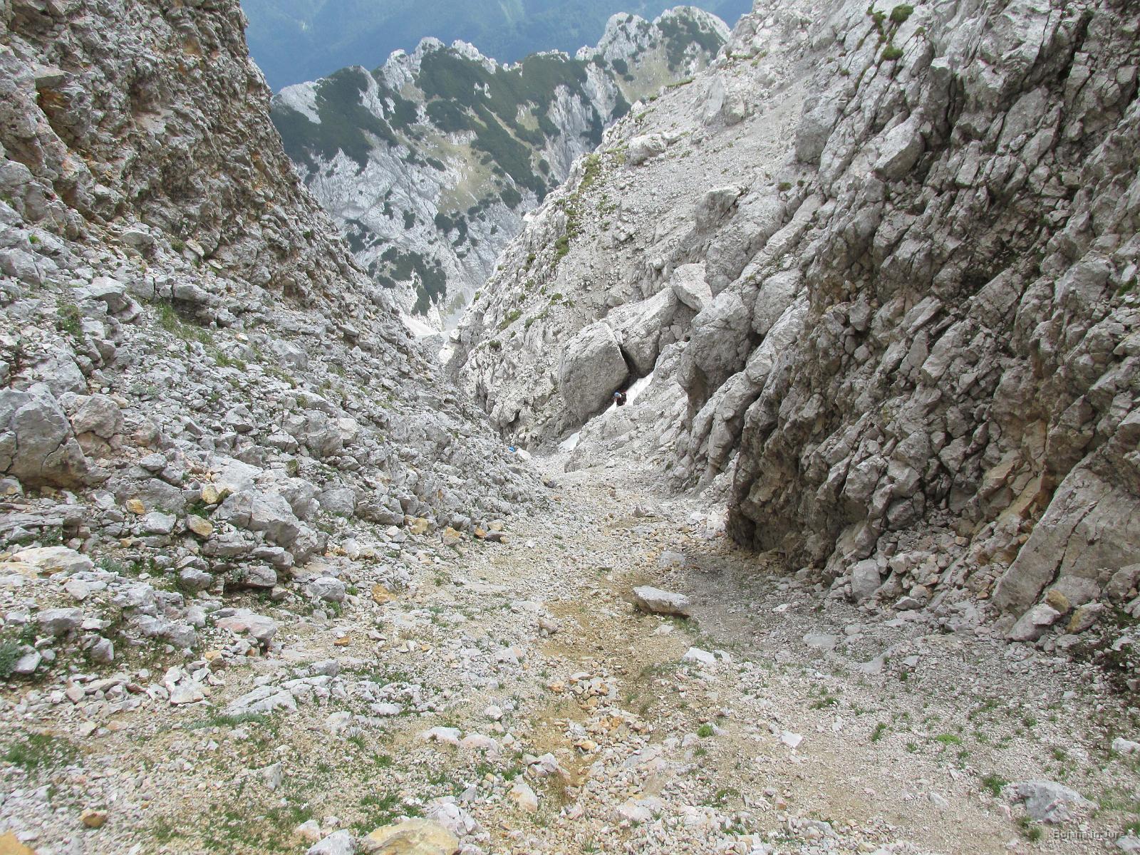 IMG 3574
