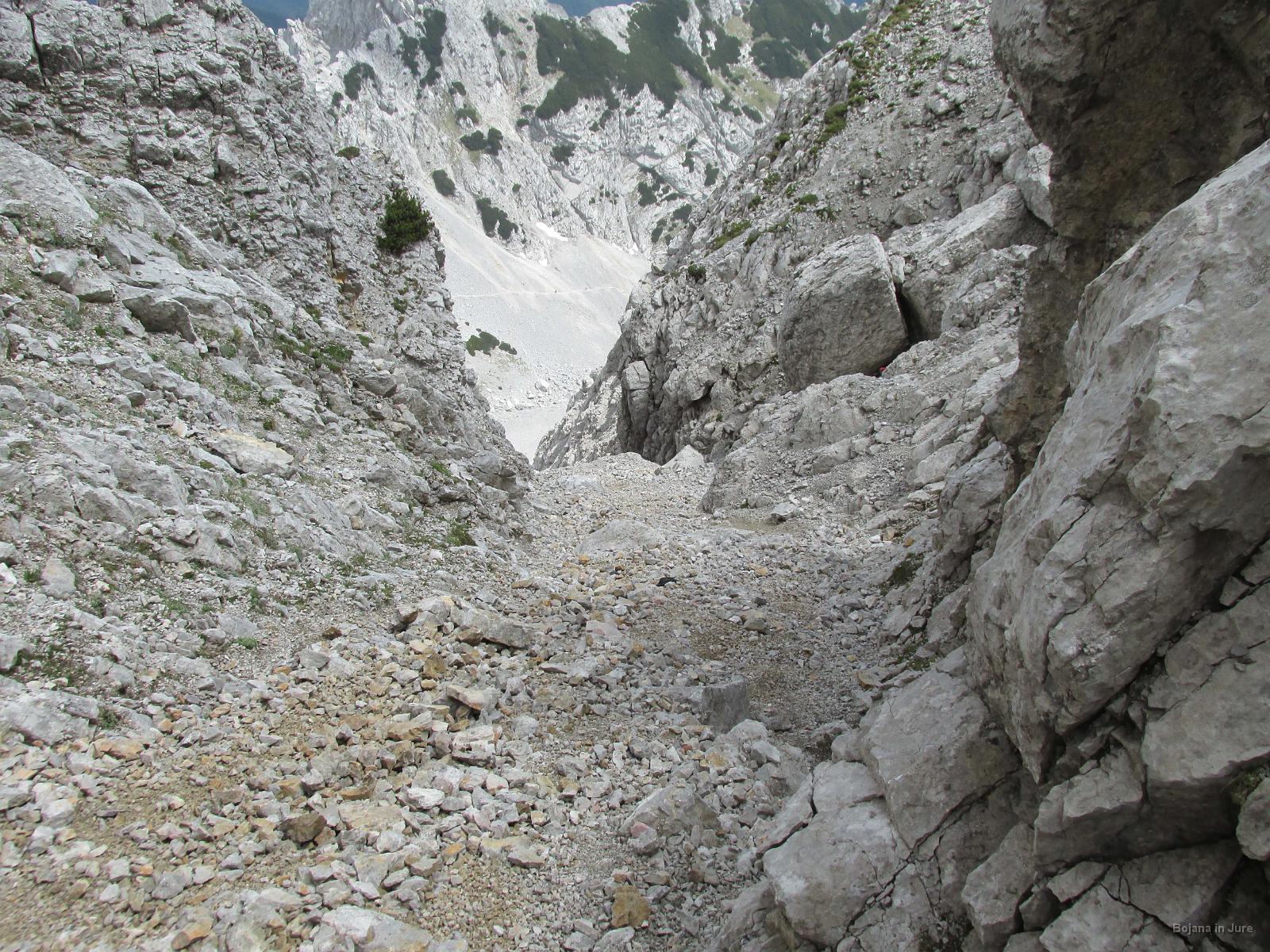 IMG 3576
