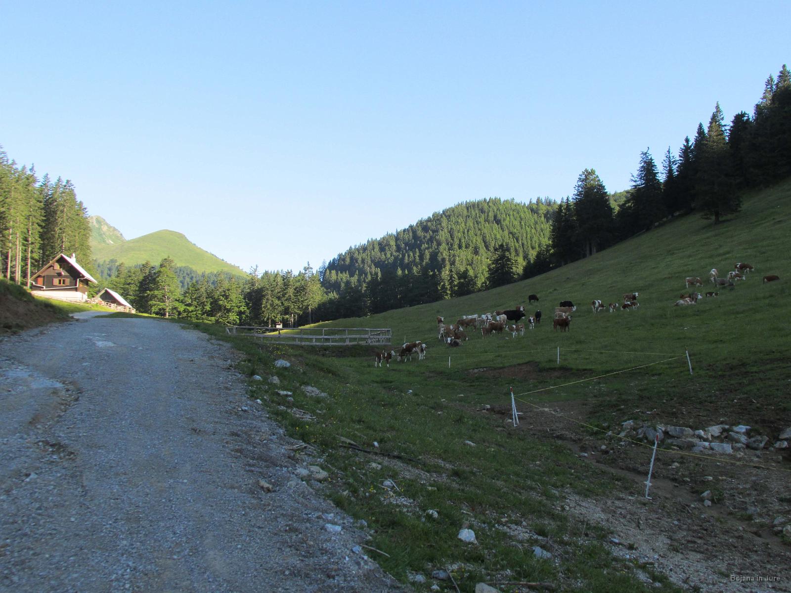 Slika 05