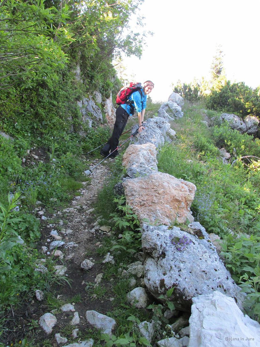 Slika 15