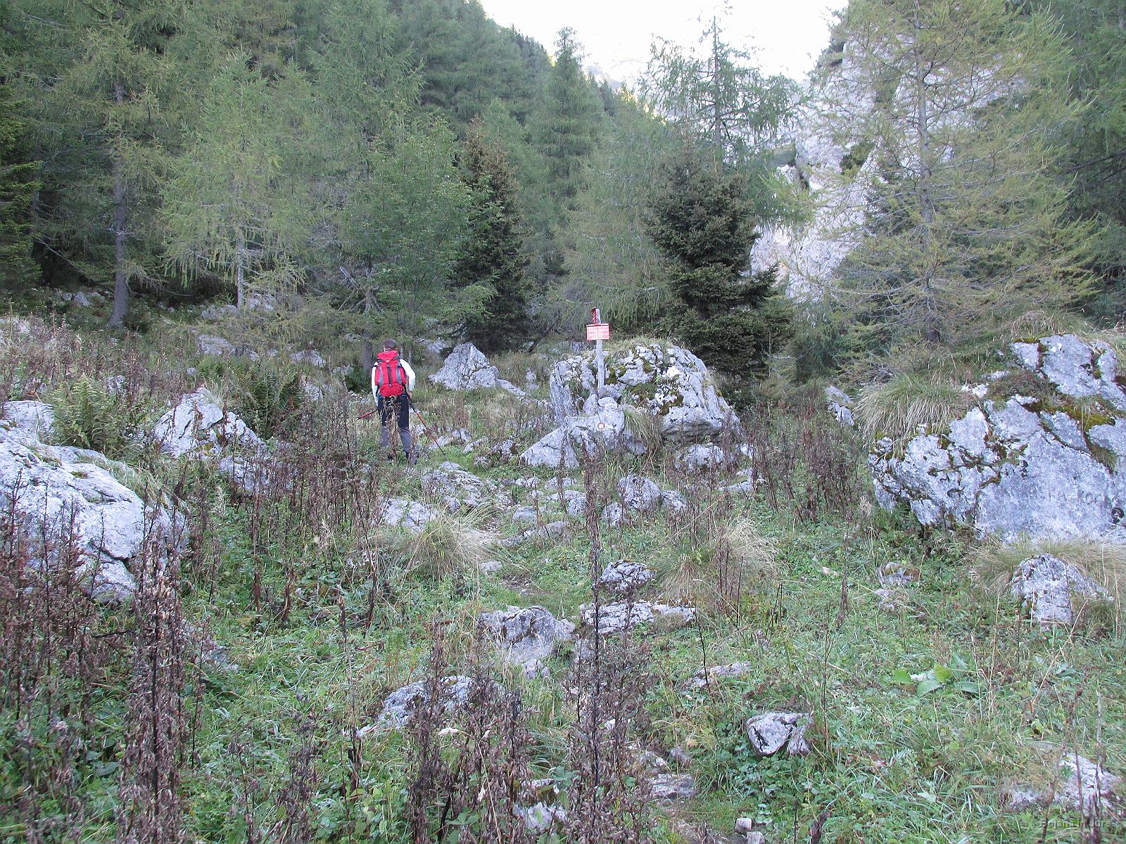 Slika 05