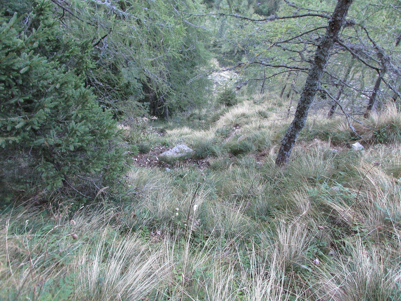 Slika 09