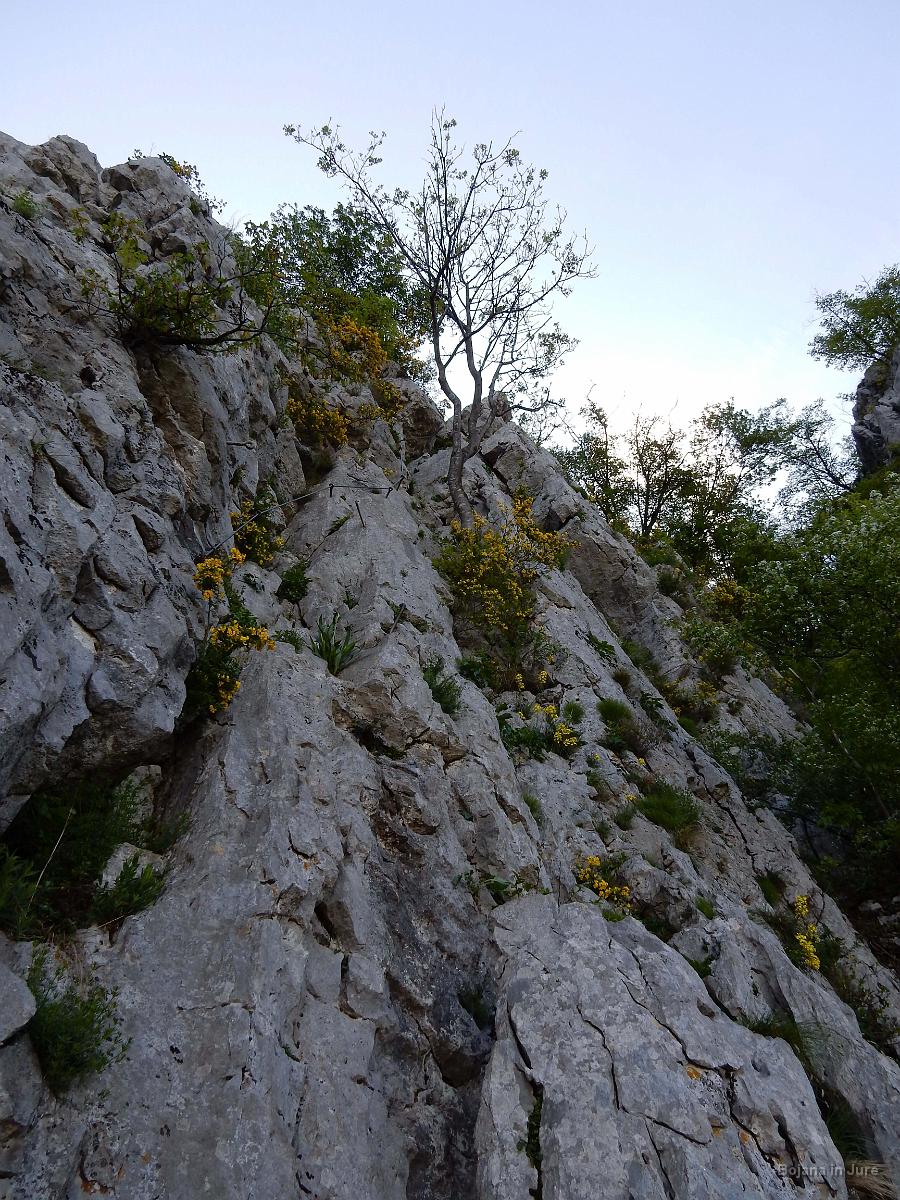 Slika 06
