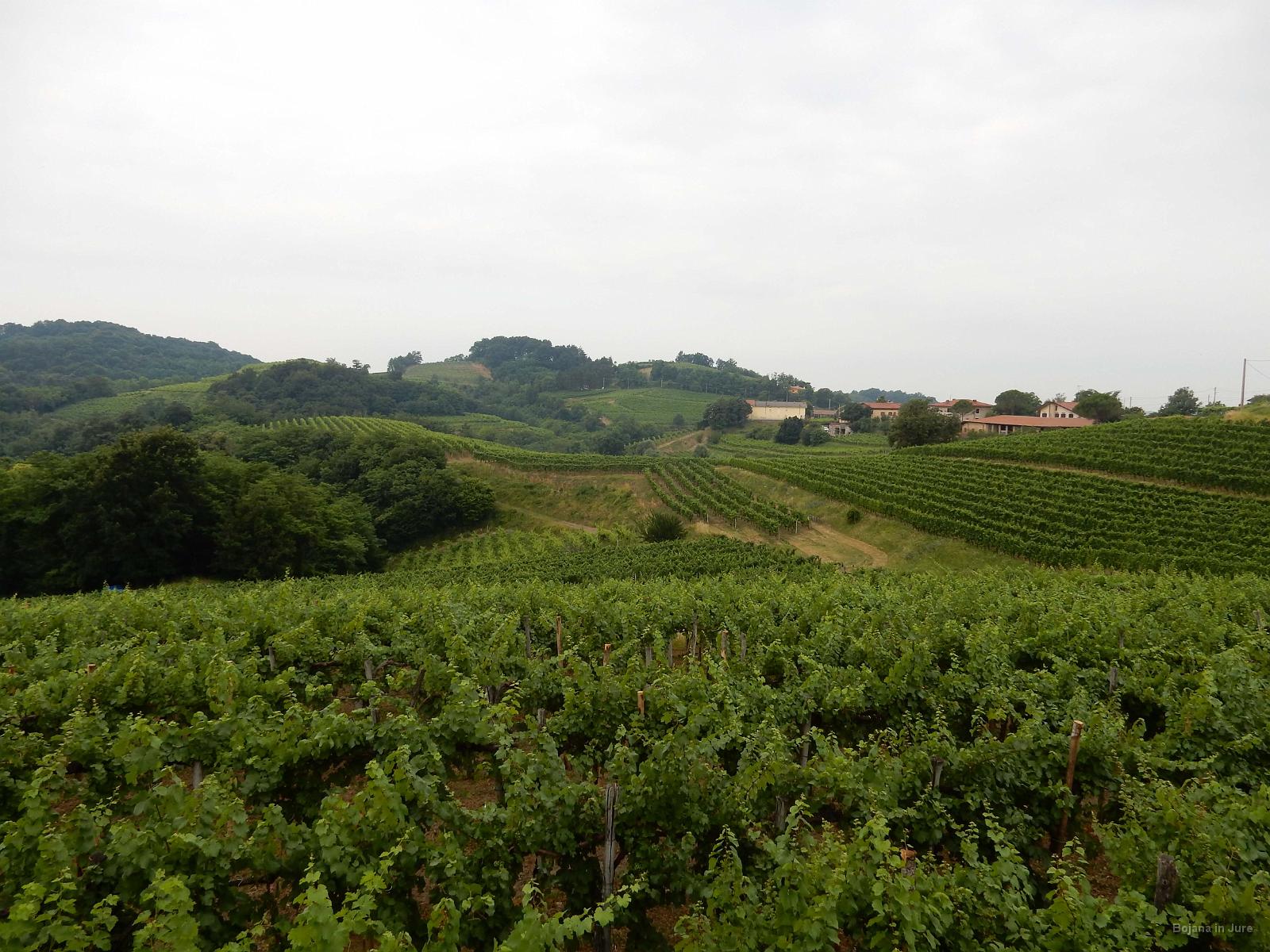 Slika 015