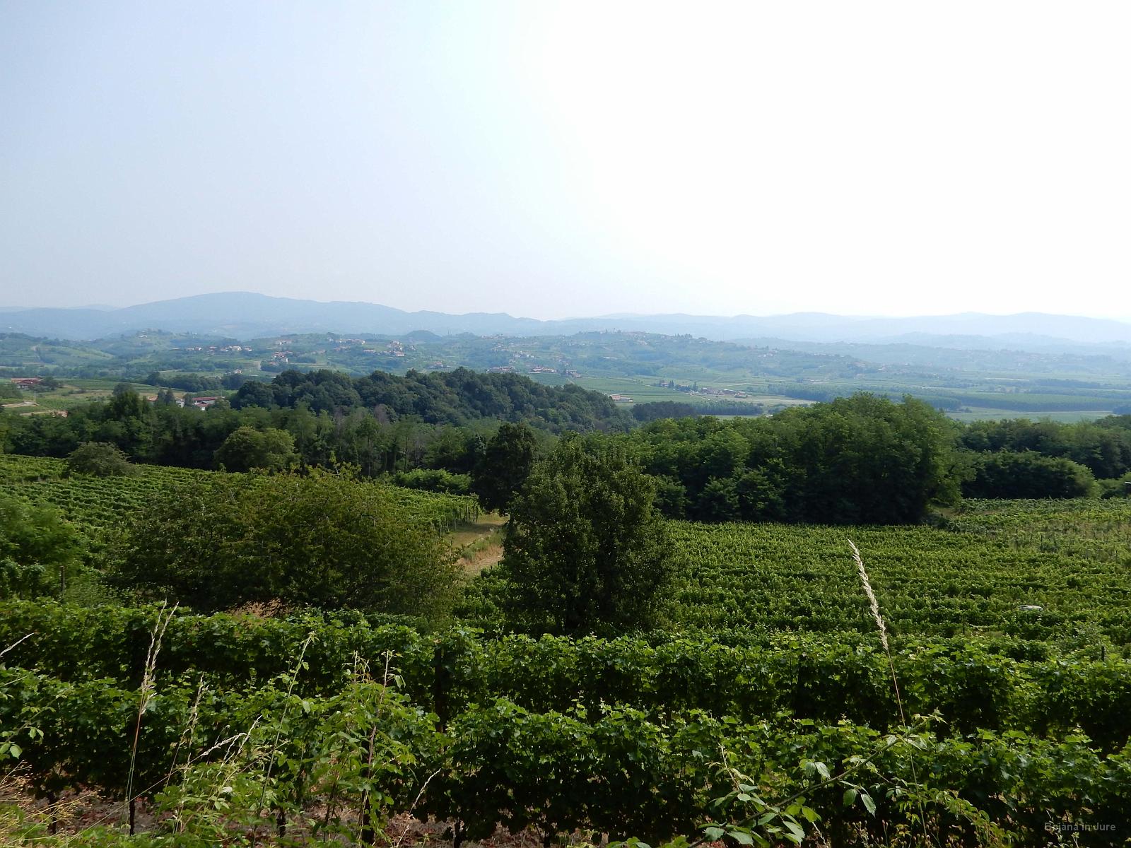 Slika 025