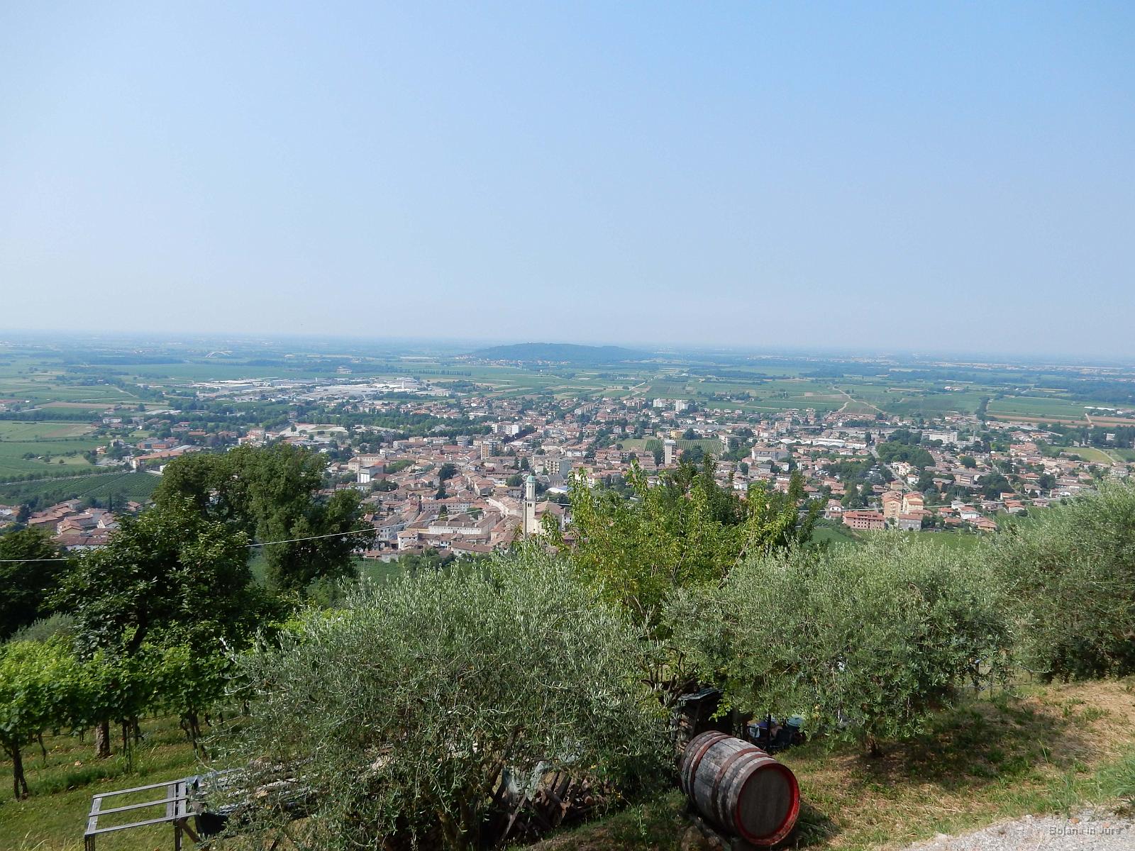 Slika 027