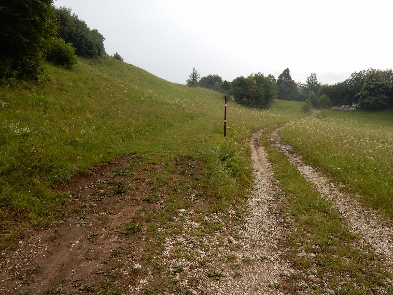 Slika 071