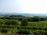 Vineyards as far as the eye can see.