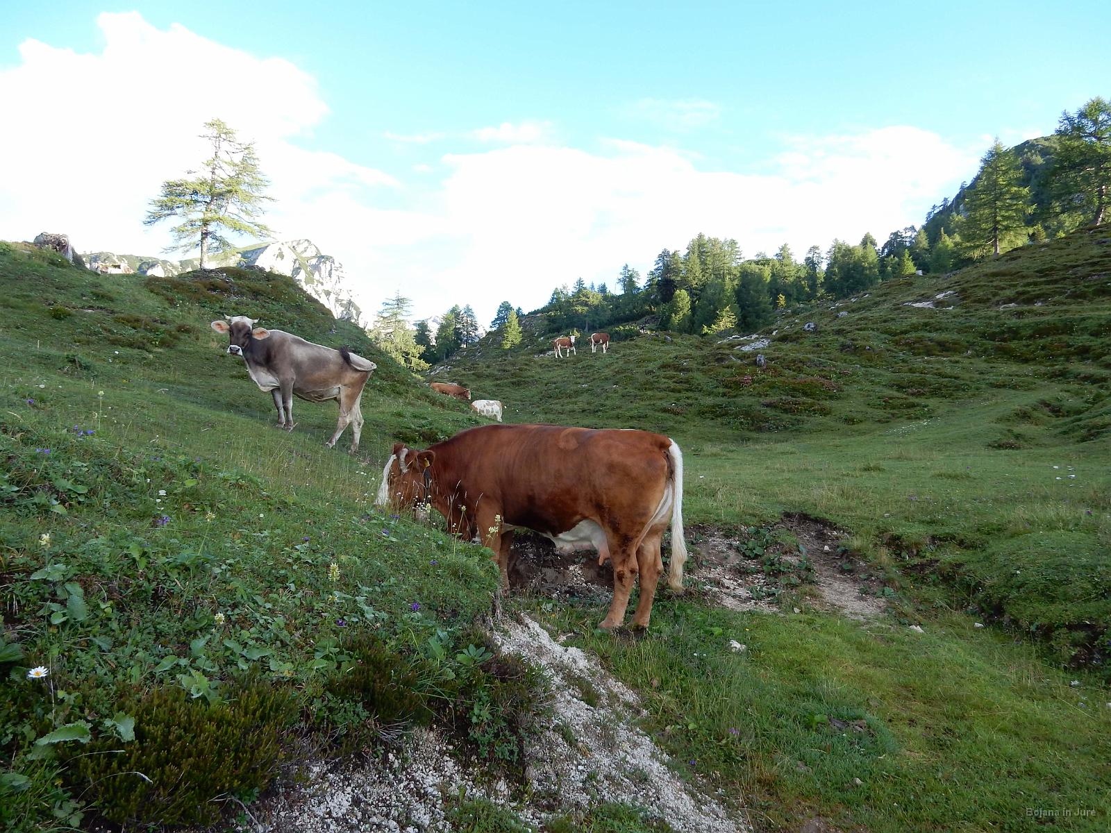 Slika 07
