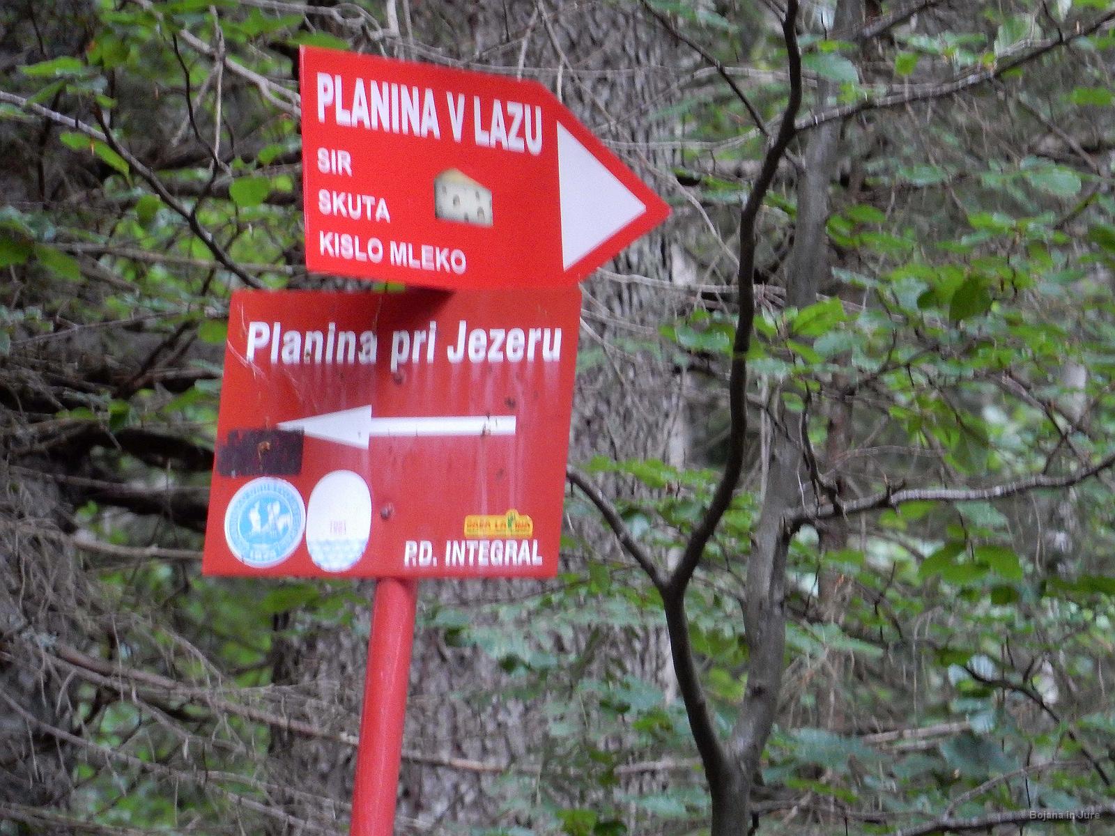 Slika 42