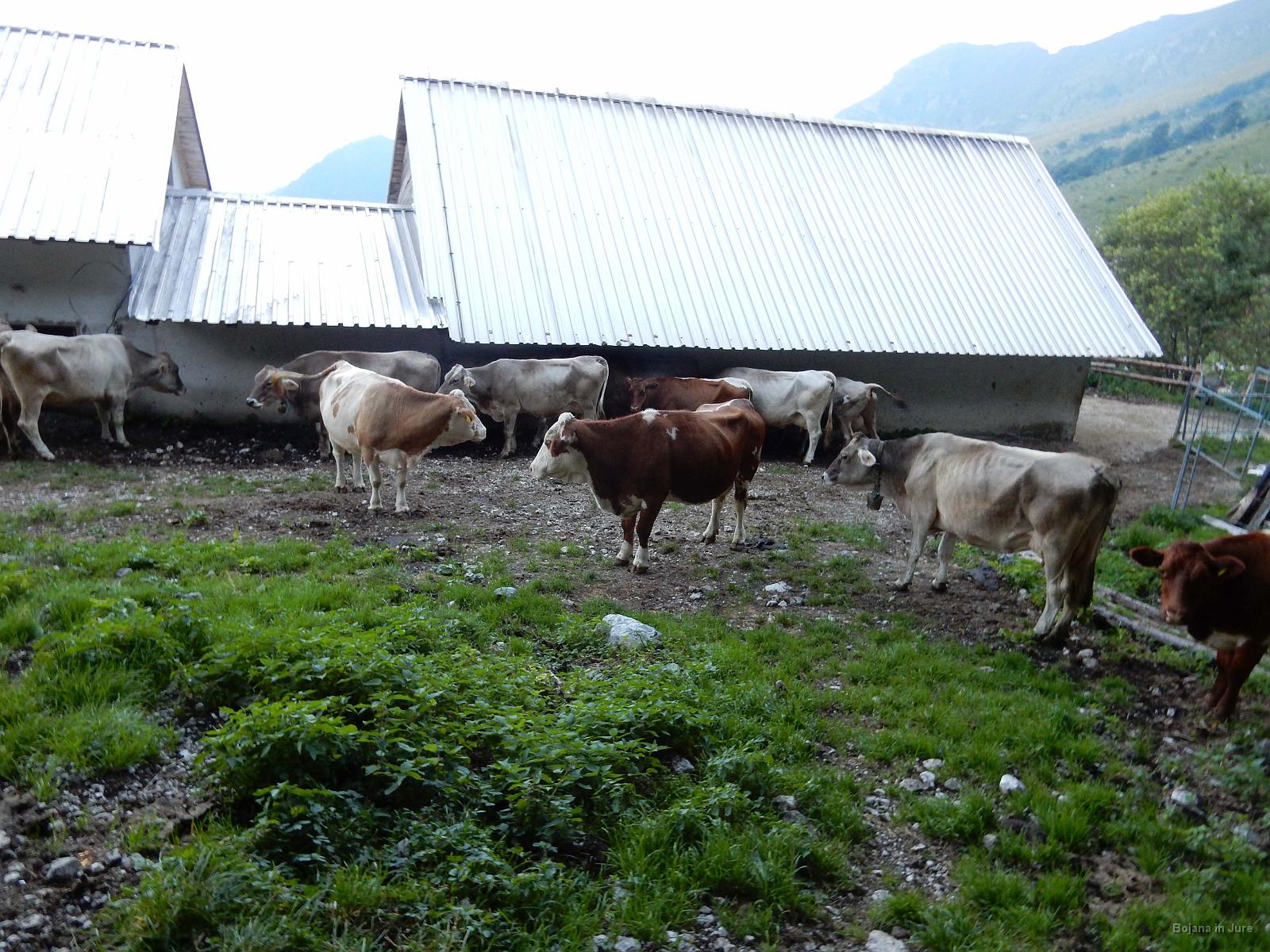 Slika 06