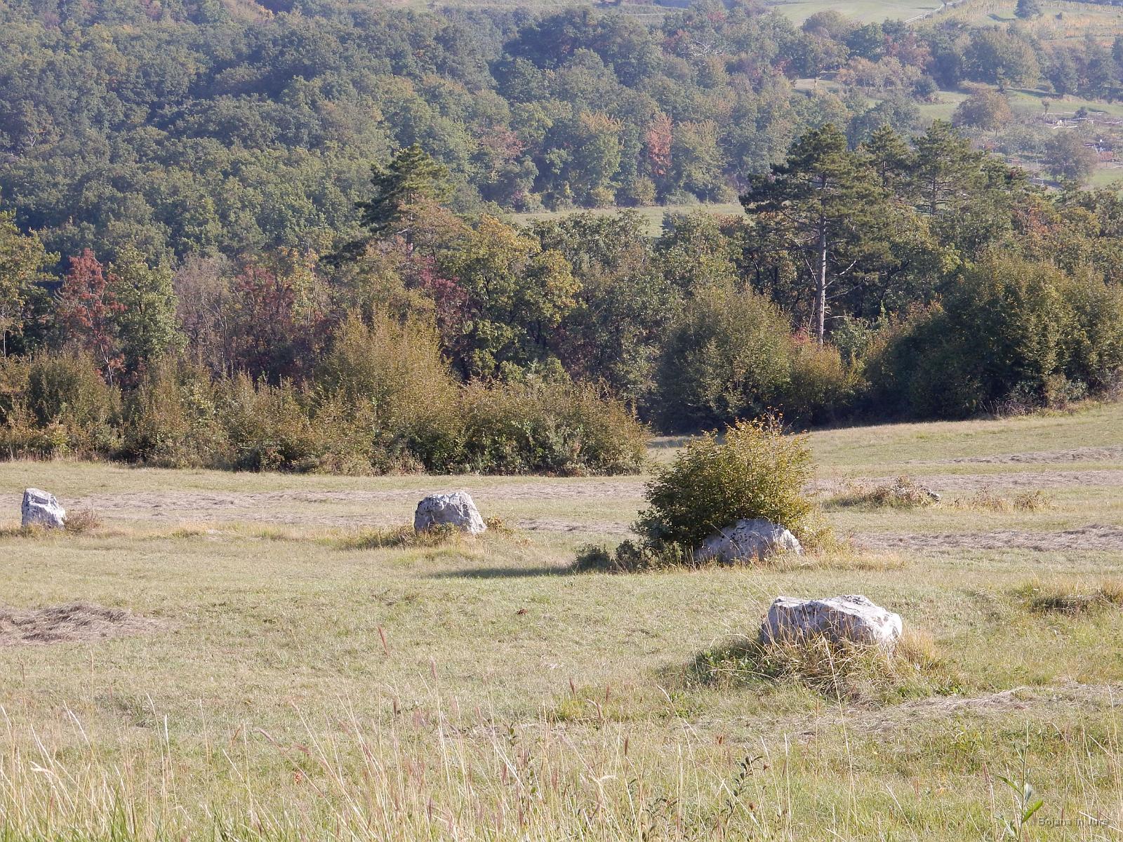 Slika 08