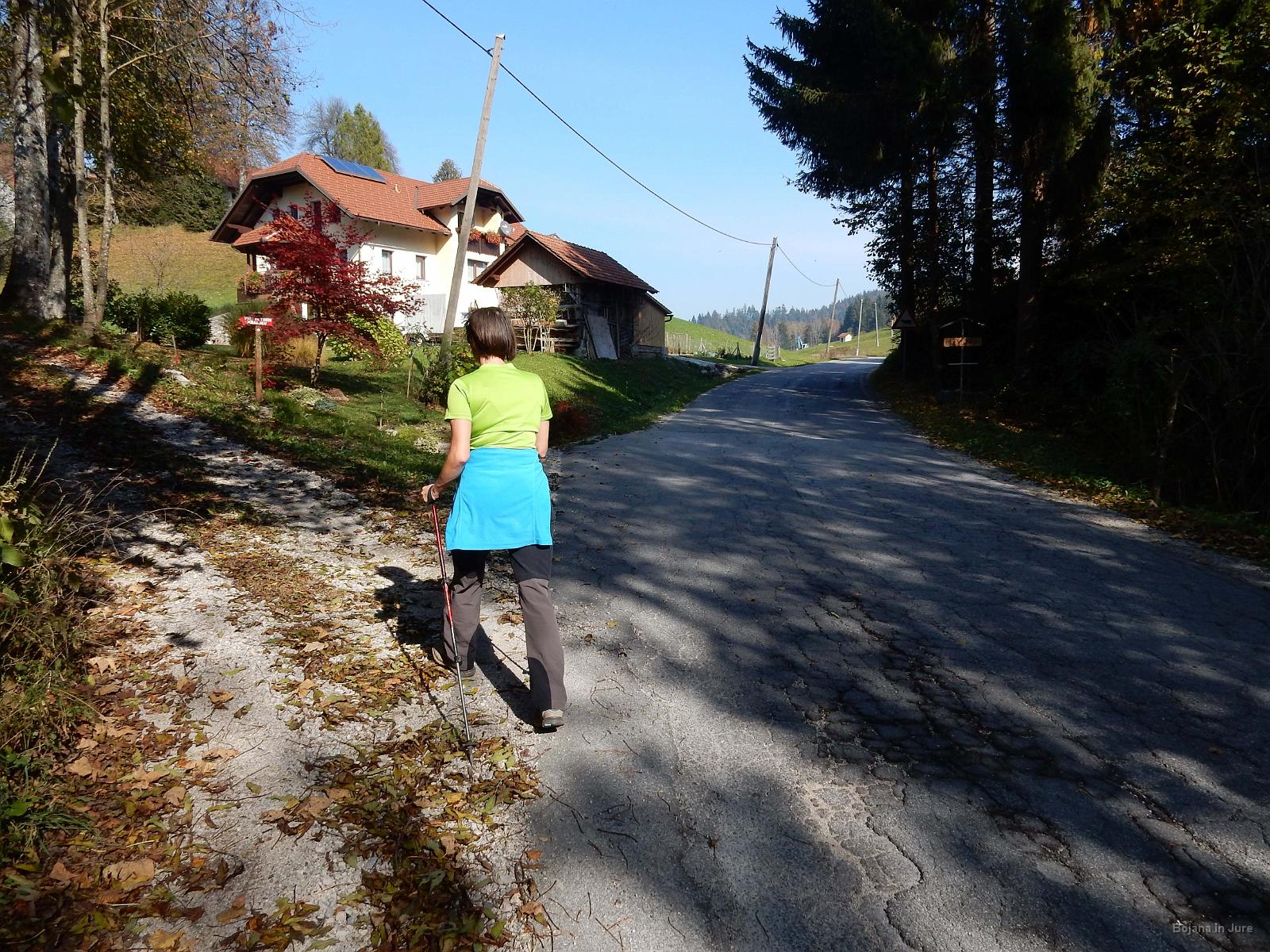 Slika 29