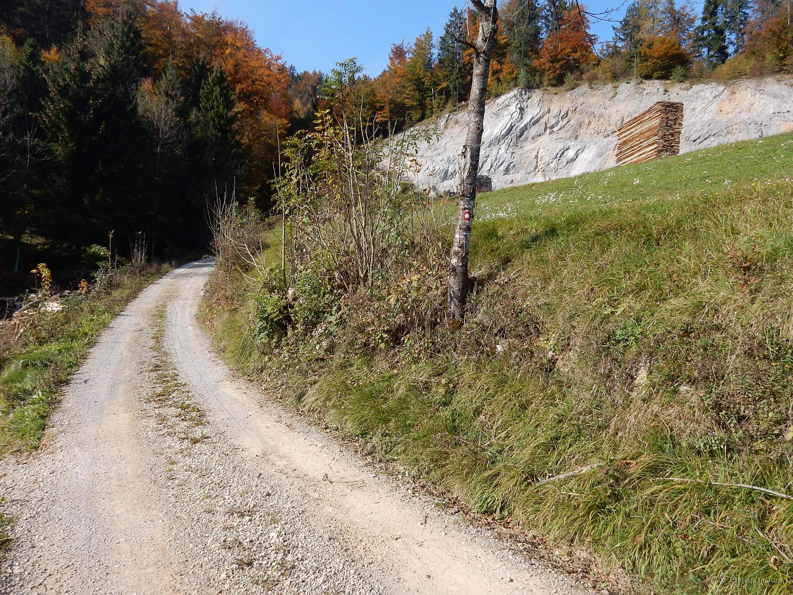 Slika 30