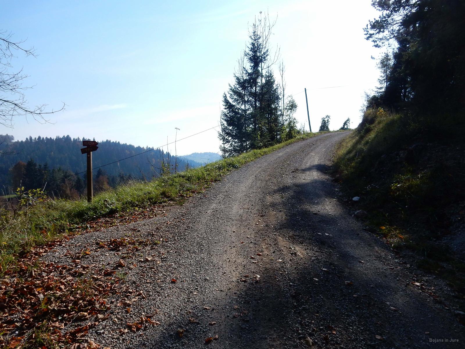 Slika 31